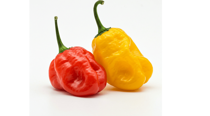 Jamaican Yellow Pepper vs Scotch Bonnet