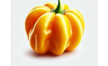 Mango Scotch Bonnet