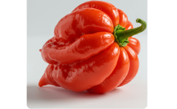 How Much Scotch Bonnet Should I Use?